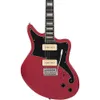D'Angelico Premier Series...