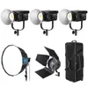 FS-300B Bi-Color LED Video...