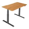 Vari Electric Standing Desk,...