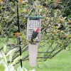 Birds Choice 22.5" Pileated...