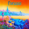 FOCUS 12 VINYL LP EDITION...