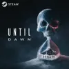 Until Dawn Standard - PC...