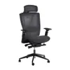 Autonomous ErgoChair Mesh...