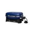 Weber Lumin Full Size 1560...