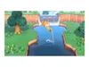 Animal Crossing New Horizons...