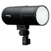 Profoto D30 500Ws Monolight