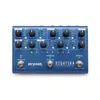 Strymon NightSky Time Warped...