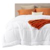 Bedsure Comforter Duvet...