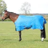 StormX Empra 0 Turnout Rug...