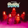 Burn [VINYL]