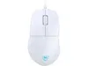 PC Accessory: Mouse - Turtle...