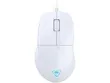 PC Accessory: Mouse - Turtle...