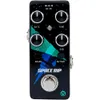 Pigtronix PWM Space Rip...