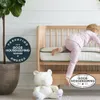 Organic Crib Mattress