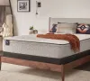 Sealy Twin Mattress | Euro...