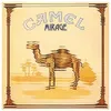 Mirage [VINYL]