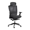Autonomous - ErgoChair Pro...