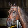 John Whitaker Chicago...