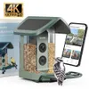 Kiwibit Solar Smart Bird...