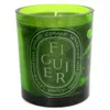Diptyque Green Figuier...