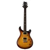 PRS SE DGT Birds Electric...