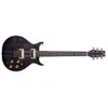 Washburn H10TB Hawk 6-String...