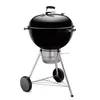 Weber 22 in. Master-Touch...