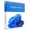 Windows 11 Professional - VIP