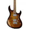Cort G290FAT II Electric...