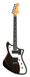 Fender American Ultra II...