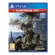 Monster Hunter World...