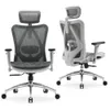 SIHOO - M57 Ergonomic Office...