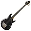Epiphone Mike Dirnt Grabber...