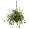 Nearly Natural Spider Plant...