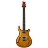 DGT Semi-Hollow LTD