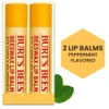 Burt's Bees 100% Natural...
