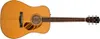 Fender PD-220E Dreadnought...