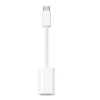 Apple USB-C to Lightning...