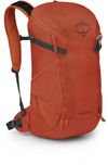 Osprey Men's Skarab 22...