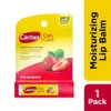 Carmex Daily Care...