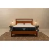 Brooklyn Bedding Titan Plus...