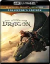 How to Train Your Dragon...