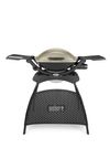 Weber Q2000 Gas Grill...