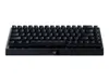 Razer BlackWidow V3 Mini...