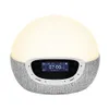 Lumie Bodyclock Shine 300 -...