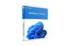 Windows 11 Pro 1 licence(s)