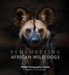 Remembering African Wild Dogs