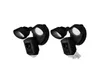 Two Pieces RING Floodlight...