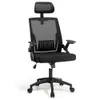 Ergonomic Office Chair