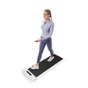 WalkingPad C2 Under Desk...